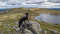 Atomsilda_20240611_66686ae544c78.jpg
