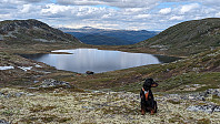 Atomsilda_20240611_66686aec06dce.jpg