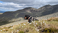 Atomsilda_20240620_66748bed58434.jpg