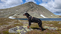 Atomsilda_20240620_66748befc615d.jpg
