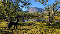 Atomsilda_20240620_66748bfee3413.jpg