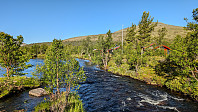 Atomsilda_20240620_66748c02a4f53.jpg