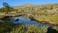 Atomsilda_20240620_66748c0e503ea.jpg