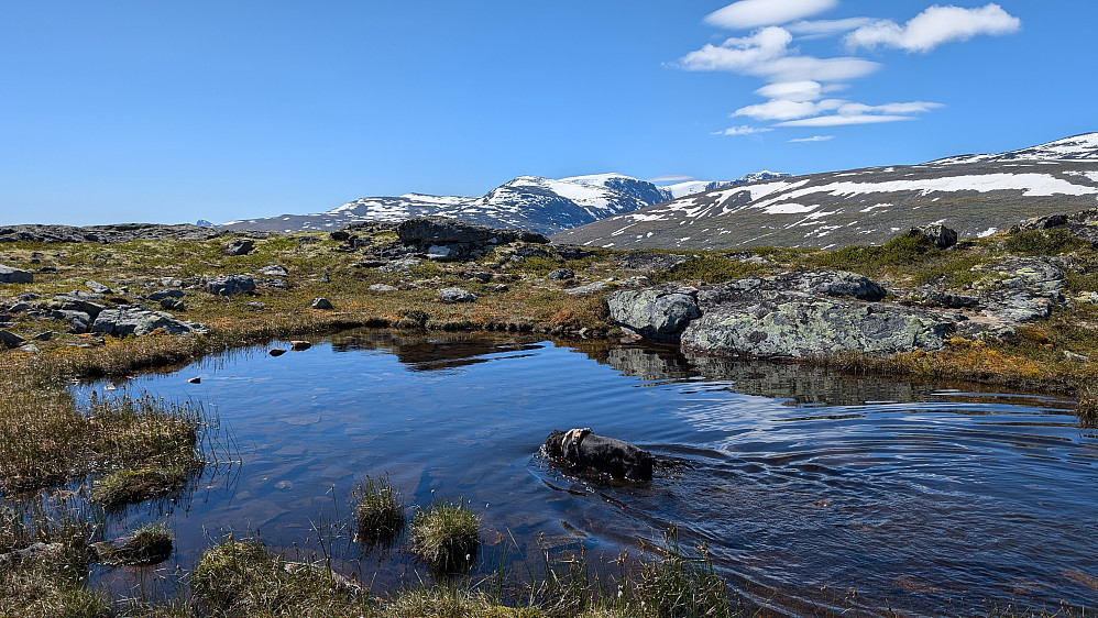 Drikke og kjøling for Embla 