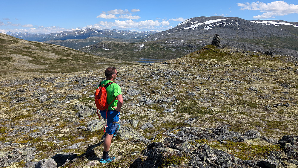 Den grønne nåla. 
