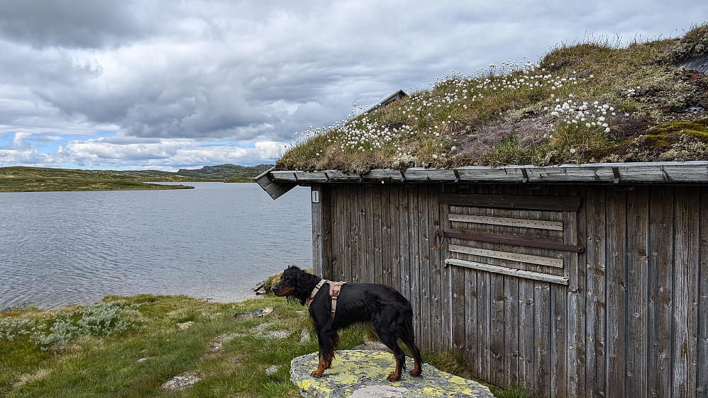 Ved Svarttjern