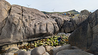 Atomsilda_20240710_668eabe9f2267.jpg