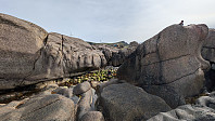 Atomsilda_20240710_668eabf29b5a8.jpg