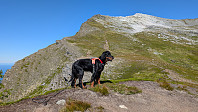 Atomsilda_20240717_66981ca7ad1e2.jpg