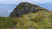 Atomsilda_20240718_669917df190bc.jpg