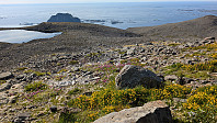 Atomsilda_20240721_669c93f72225b.jpg
