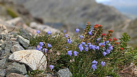 Atomsilda_20240729_66a7ff11af400.jpg