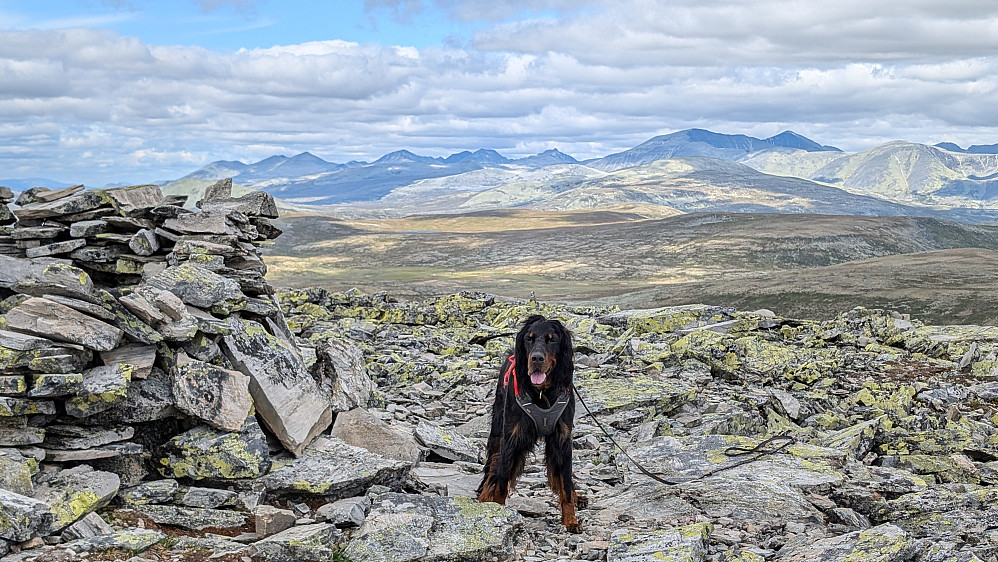 På Store Ramshøgda...mot Rondane