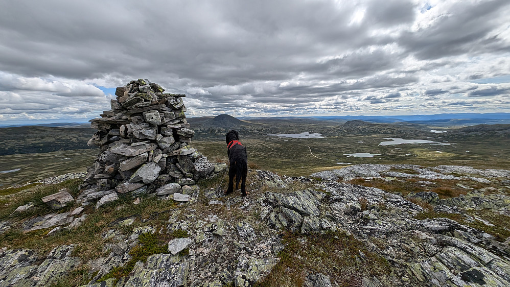 Den siste toppen idag. Vesle Ramshøgda.