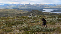 Atomsilda_20240813_66bbc1fd24c16.jpg