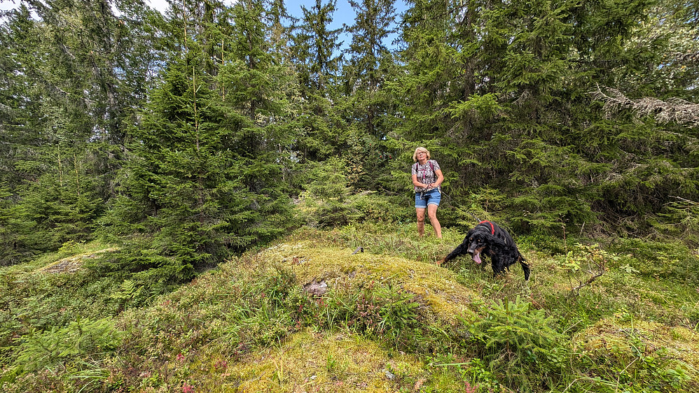 På Abboråsen. Ingen utsikt her.