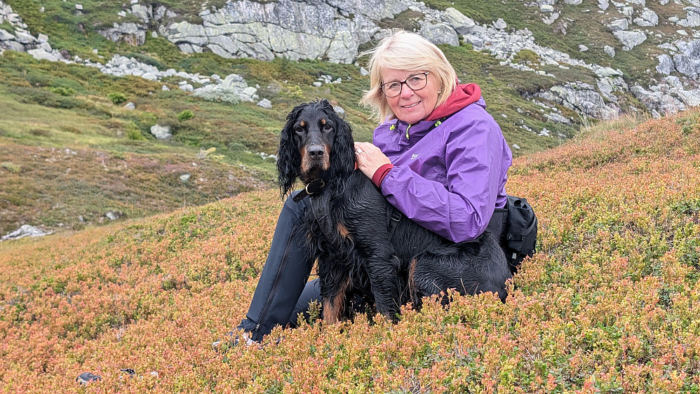 Fint i Langedalen 