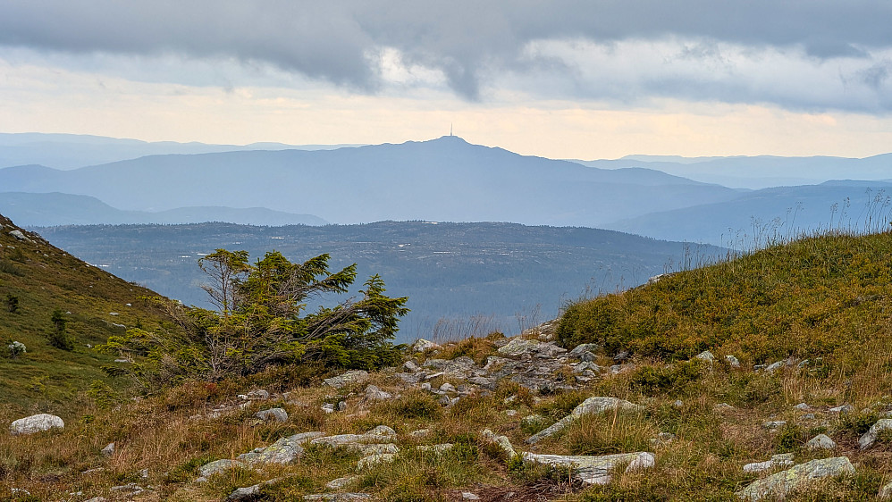 Jonsknuten sett fra Langedalen