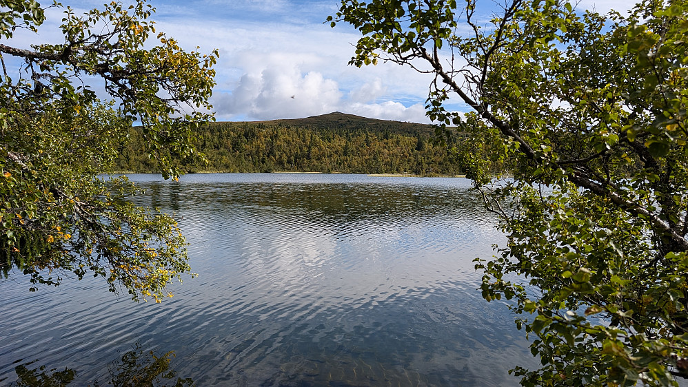 Fjellenden...1143 moh