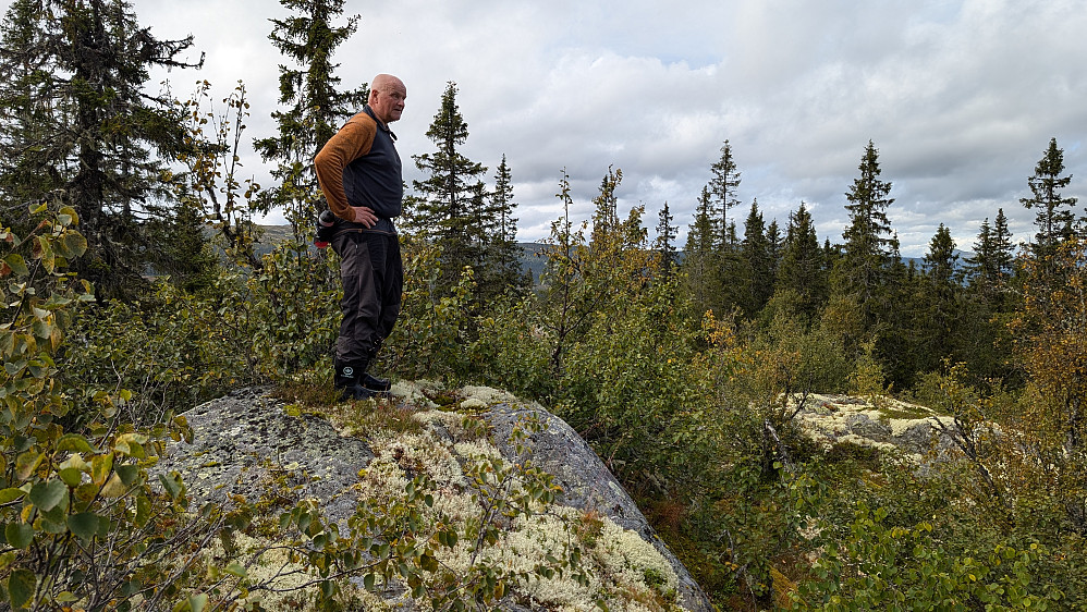 Toppunktet i "svarte skauen"