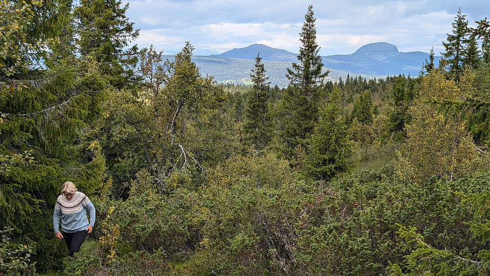 Kjente topper langt bakenfor. Skarvemellem og Rundemellen 