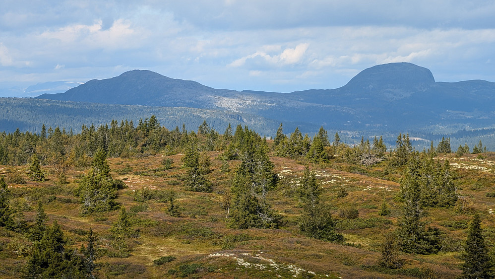 Skarvemellem og Rundemellen 