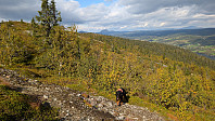 Atomsilda_20240825_66cb5846db67a.jpg