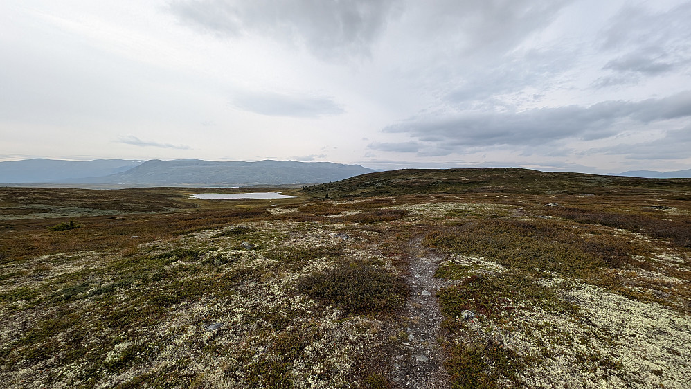 Mot Rennefjellet Nord