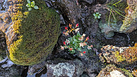 Atomsilda_20240901_66d4b0485f143.jpg