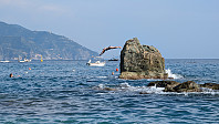 Atomsilda_20240904_66d8920992529.jpg