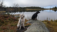 Atomsilda_20240910_66e0303660d5d.jpg