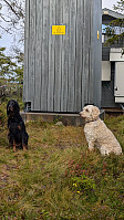 Atomsilda_20240910_66e03038bc061.jpg