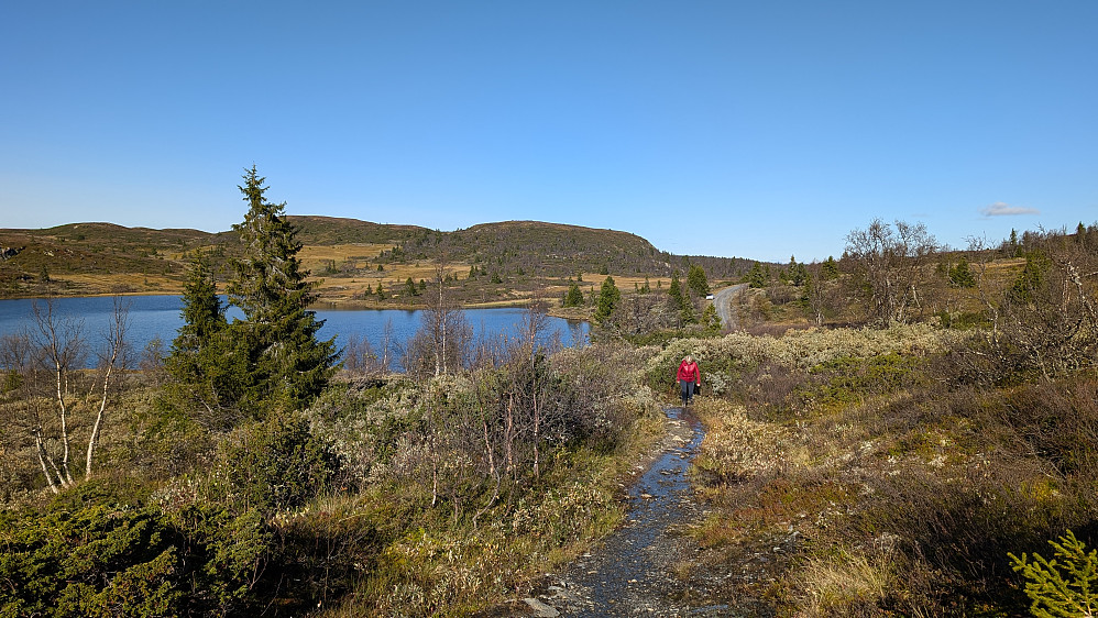Ved Øytjern