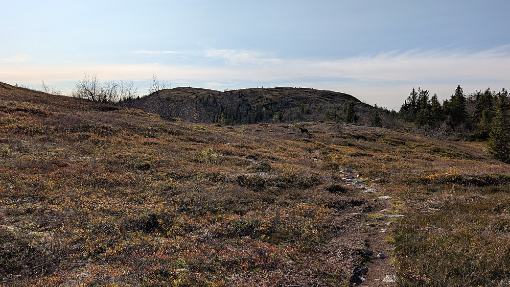 Busufjellet