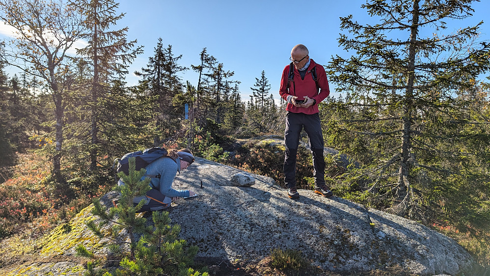 På Nordre Romsjøberget