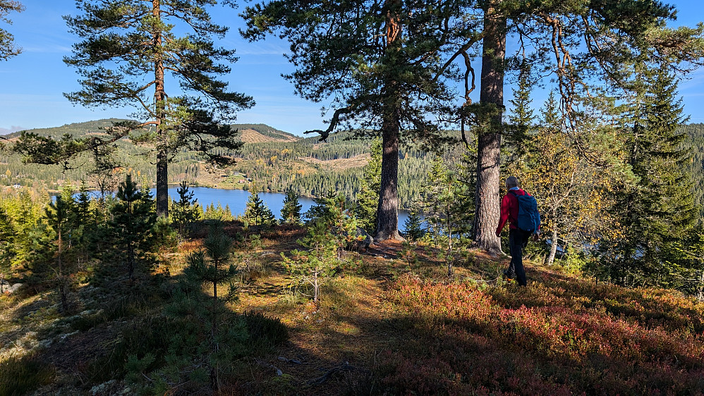 På Kjerringryggen
