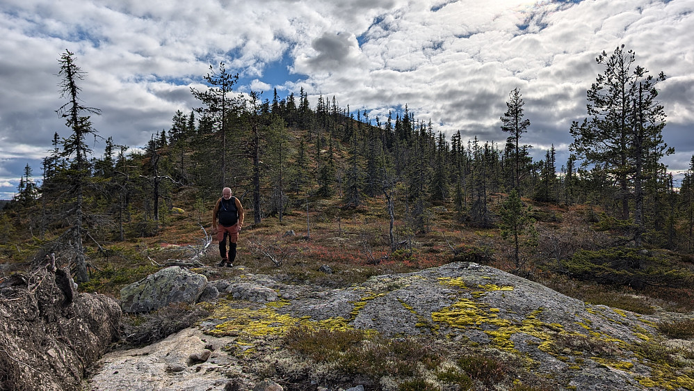 Jevnlisfjellet fra nord