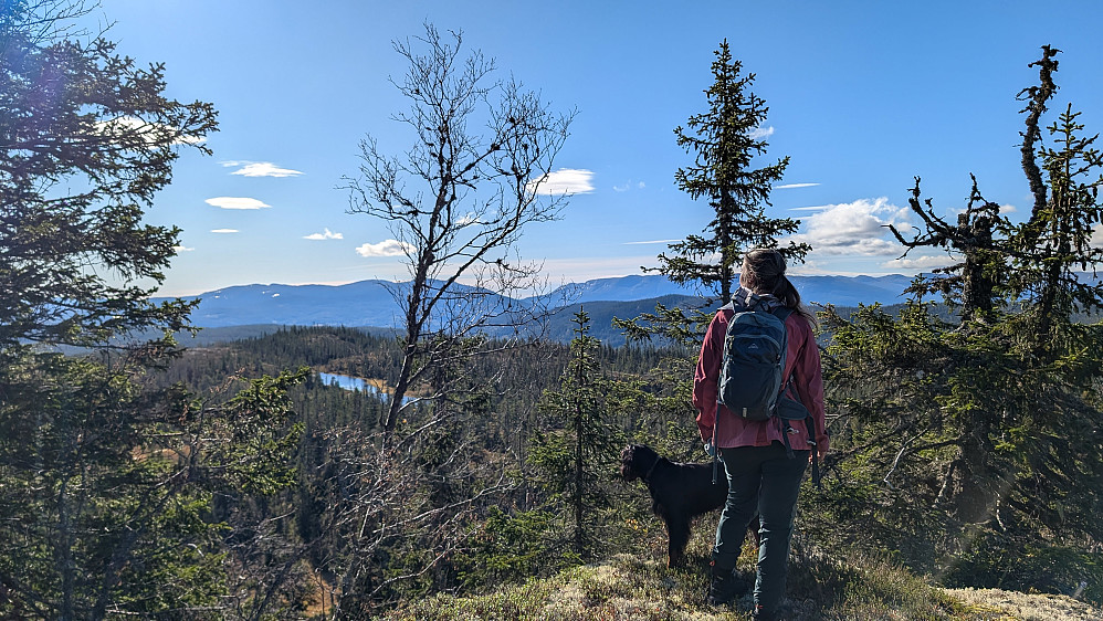 På Skurveknatten 