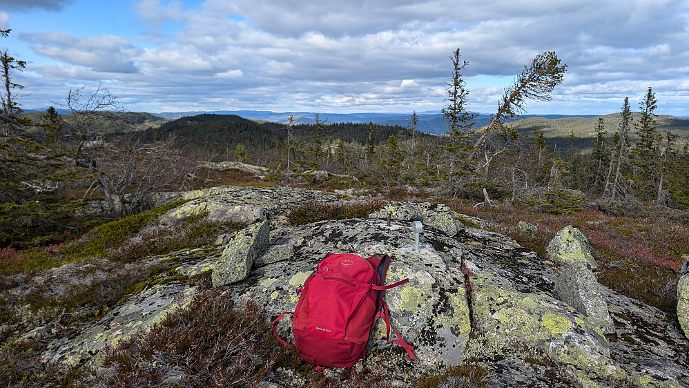 Langtjernåsen