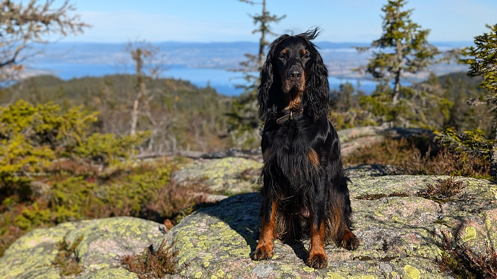 På Hervenberget 