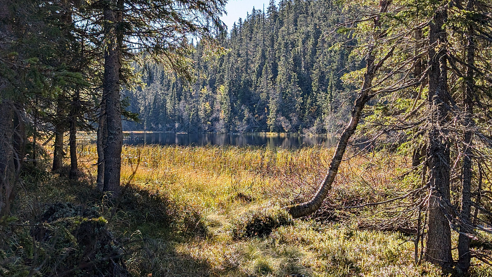Ved Fugletjernet