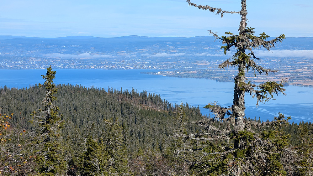 Utsikt til feil side av Mjøsa