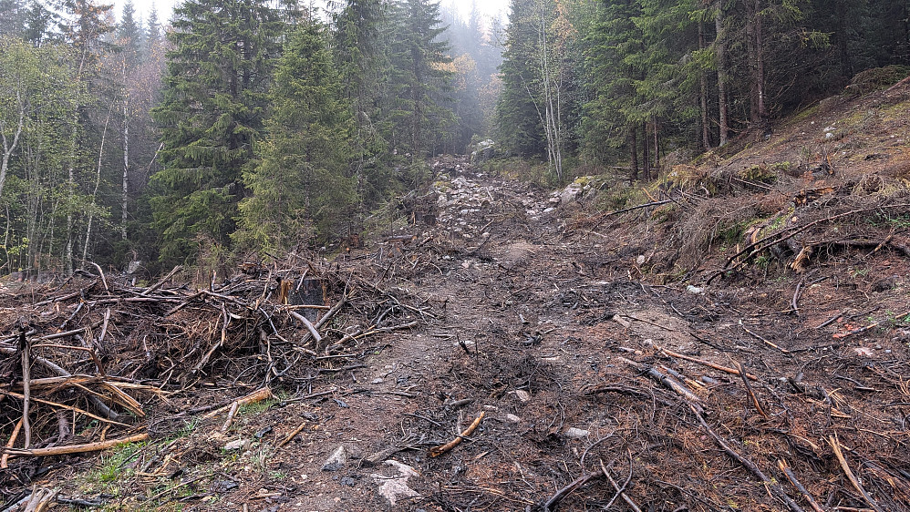 Pent er det ikke er men skogen må felles