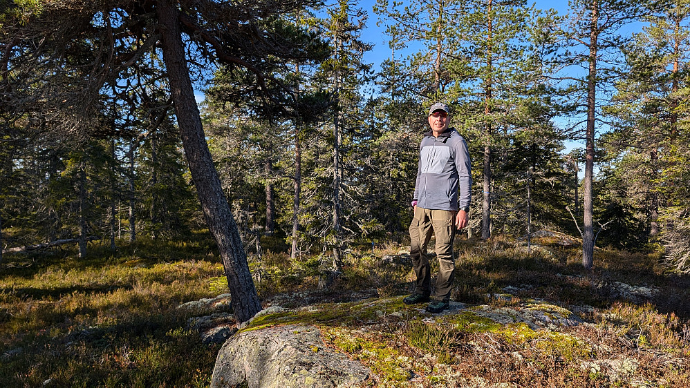 Sørtoppen