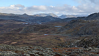 Atomsilda_20241021_6716cc9d11478.jpg