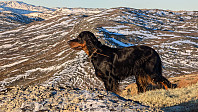 Atomsilda_20241025_671bb5be16825.jpg