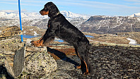 Atomsilda_20241025_671bb5c2d083a.jpg