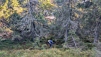 Atomsilda_20241026_671d1961d9d4a.jpg