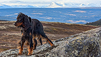 Atomsilda_20241102_672656b71a93b.jpg