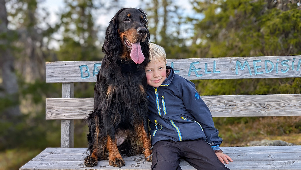 "Todd og Copper" ...bestevenner
